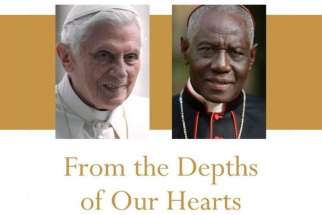 This is from the cover of &quot;From the Depths of Our Hearts,&quot; by retired Pope Benedict XVI and Cardinal Robert Sarah, prefect of the Congregation for Divine Worship and the Sacraments. In the book they defend priestly celibacy, an issue that was discussed at last year&#039;s Synod of Bishops for the Amazon.