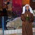 A shepherd minds the flock as students from Toronto’s Holy Spirit Catholic School perform a live Nativity on Dec. 12.