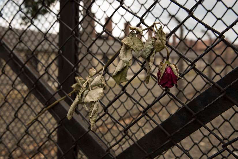 A dried rose hangs from the entrance gate to Auschwitz I in Oswiecim, Poland. The Nazi regime annexed Oswiecim for the Third Reich in 1939 and renamed it Auschwitz. The main concentration and extermination camp established in 1940 was expanded to include Auschwitz II (Auschwitz-Birkenau) in 1941 and Auschwitz III (Auschwitz-Monowitz) in 1942. 