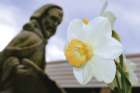 The signs of emerging life in spring season remind us of the eternal hope of Easter.
