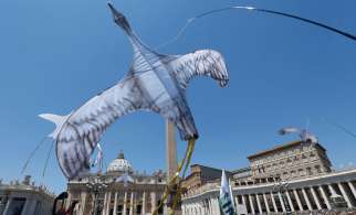 Kites in the form of birds are flown by environmental activists in St. Peter&#039;s Square at the Vatican June 28. Some 1,500 people marched to the Vatican in support of Pope Francis&#039; recent encyclical on the environment.