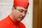 New Cardinal Sergio da Rocha of Brasilia, Brazil, is seen after a consistory at which he was made a cardinal by Pope Francis in St. Peter&#039;s Basilica at the Vatican Nov. 19. 