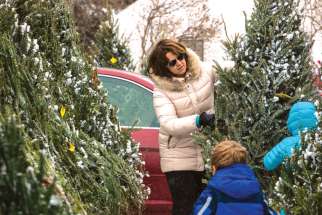 If you purchase a real tree for Christmas, make sure it is composted afterwards, environmentalists suggest.