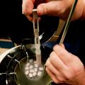 An embryologist removes frozen embryos from a storage tank at the Smotrich IVF Clinic in La Jolla, Calif., in this 2007 file photo. 