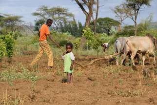 Development and Peace providing aid to farmers in Ethiopia 2015. 