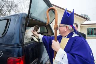 A good weekend to be a Catholic goat