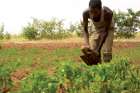 A worker tills the land on a Development and Peace-sponsored demonstration-and-teaching farm in Jijiga in Ethiopia’s Somali province. The World Food Program is warning of a worldwide famine because of COVID-19.