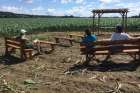 People sit at an outdoor chapel on the property of the Adorers of the Blood of Christ in Columbia, Pa,. in early July. The chapel was built by Lancaster Against Pipelines in cooperation with the congregation as a symbol to block the Atlantic Sunrise natural gas pipeline, which opponents say would desecrate God&#039;s creation.