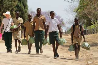 Boys carry cabbages to be prepared for lunch by their parents in 2017 in Harare, Zimbabwe. World Food Day is celebrated Oct. 16 to mark the date in 1945 the U.N. Food and Agriculture Organization was founded. 