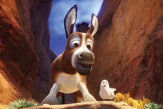 Stephen Yeun, from The Walking Dead TV series, is the voice of Boas the donkey in The Star. His best friend, Dave the Dove, is played by Keegan-Michael Key.