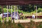 Migrant farm workers at Scotlynn Group Inc.’s Vittoria, Ont., operation harvest crop on a late June Sunday.