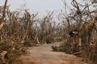 People walk past damaged trees May 4, 2019, following Cyclone Fani in Puri, India. The powerful cyclone ripped through eastern India and sideswiped Bangladesh, May 3, leaving a trail of destruction and more than 30 deaths.