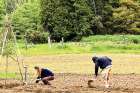 In 2013-2014, crops grown in Canada have raised over $6.5 million for the ecumenical aid group Canadian Foodgrains Bank.