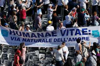 A banner referencing &quot;Humanae Vitae,&quot; the 1968 encyclical of Blessed Paul VI, is seen in the crowd at the conclusion of the beatification Mass of Blessed Paul celebrated by Pope Francis in St. Peter&#039;s Square at the Vatican Oct. 19, 2014. 