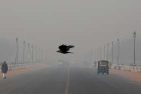 A bird flies through smog in New Delhi, India, Nov. 13, 2019. Pope Francis told participants at a Vatican City conference on criminal justice Nov. 15, that there are plans to include a definition of ecological and other &quot;psycho-social phenomenon&quot; hate sins in the Catechism of the Catholic Church.