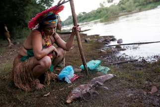 An woman from the Pataxo Ha-ha-hae tribe looks at dead fish near the Paraopeba River after a tailings dam owned by Brazilian mining company Vale SA collapsed near Sao Joaquim de Bicas, Brazil, Jan. 28, 2019. 