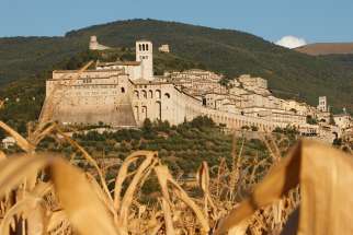 The Basilica of St. Francis with its bell tower is pictured through corn in Assisi, Italy, Sept. 6, 2011. Pope Francis has invited young economists and entrepreneurs to take part in an initiative to be launched in Assisi March 26-28, 2020. The initiative seeks to find new ways to do business, promote human dignity and protect the environment. 