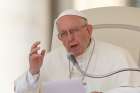 Pope Francis speaks during his general audience in St. Peter&#039;s Square at the Vatican June 20. 