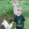 Isabelle Harder, front, and Isabel Garcia feed the lambs at Ottawa’s Waupoos Farm. The farm offers a weekend away from city life for urban families.