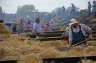 In Austin, Manitoba, 139 antique threshing machines set a new world record in support of the Foodgrains Bank in 2016.