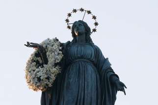 The International Marian Association have submitted a request with Pope Francis for the public recognition of Mary as “Co-Redemptrix with Jesus the Redeemer.”