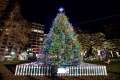 The Christmas tree in Boston Common is an annual gift from the people of Nova Scotia to recognize Boston’s aid after the 1917 Halifax Explosion.