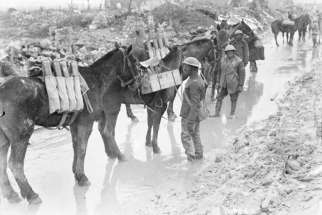 Pack horses taking up ammunition to the guns of the 20th Battery Canadian Field Artillery, Neuville St. Vaast, April 1917.  The 20th Battery Canadian Field Artillery taking up ammunition. In the Canadian forward area, roads and tramways were repaired and extended by pioneer and engineering units for the daily hauling of more than 720 tonnes or more of ammunition, rations and stores. Artillery ammunition allotted for the Vimy operation amounted to 38,250 tonnes. 
